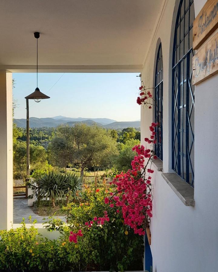 Agriturismo Palas De Serra Country Resort Onifai Exterior photo